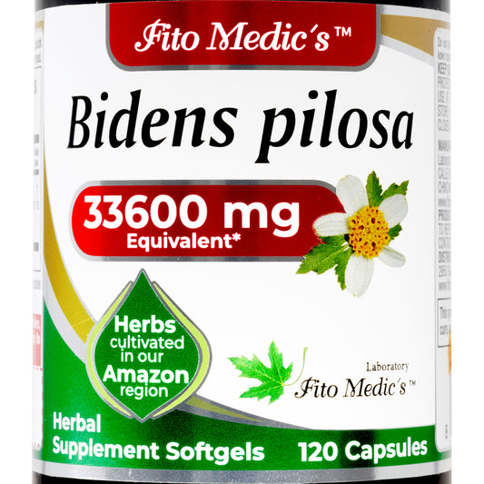 Bidens Pilosa Extract | 75:1 Concentrated Herbal Extract | 120 Softgels | By Fito medic's
