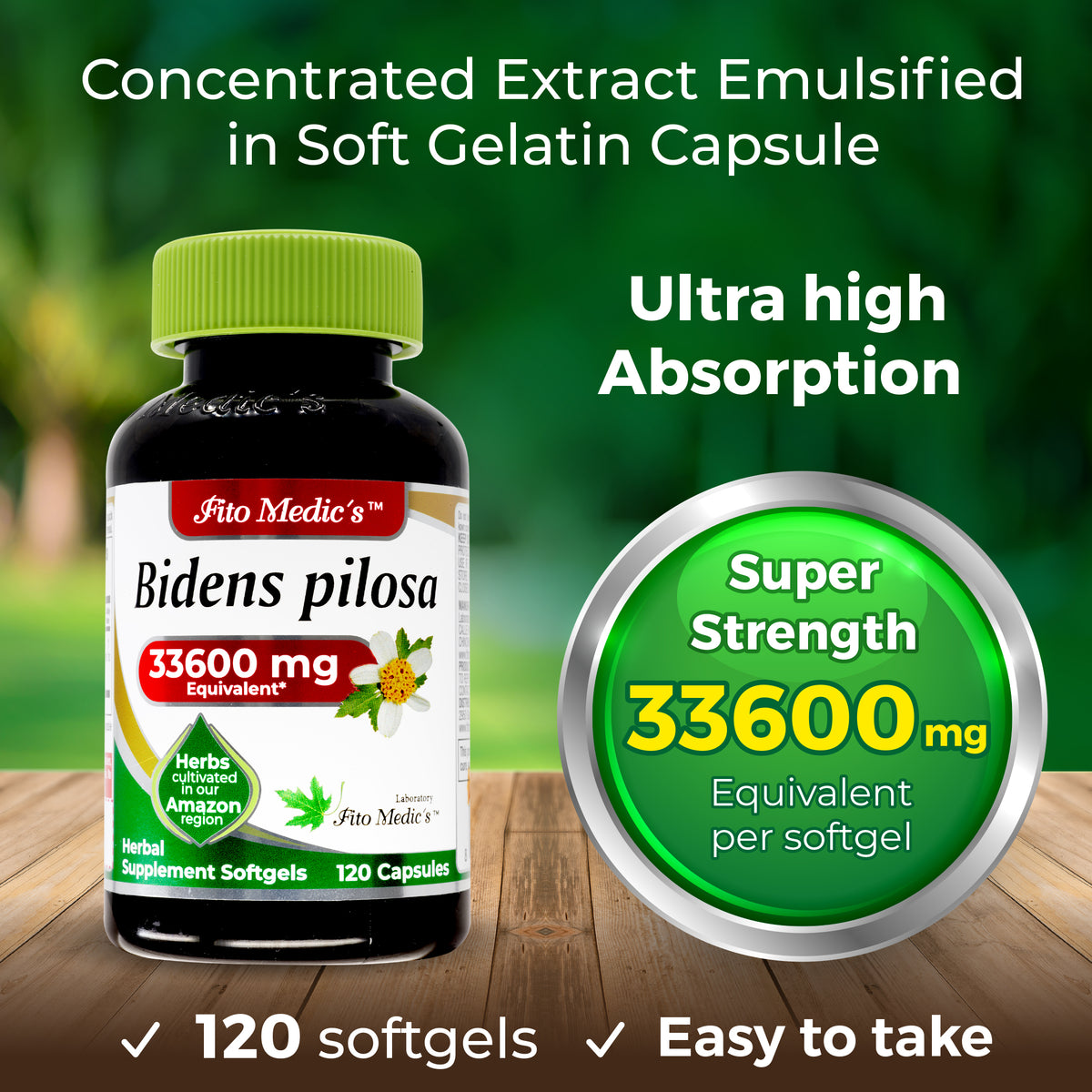Bidens Pilosa Extract | 75:1 Concentrated Herbal Extract | 120 Softgels | By Fito medic's