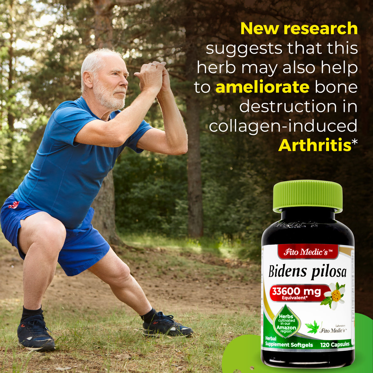 Bidens Pilosa Extract | 75:1 Concentrated Herbal Extract | 120 Softgels | By Fito medic's