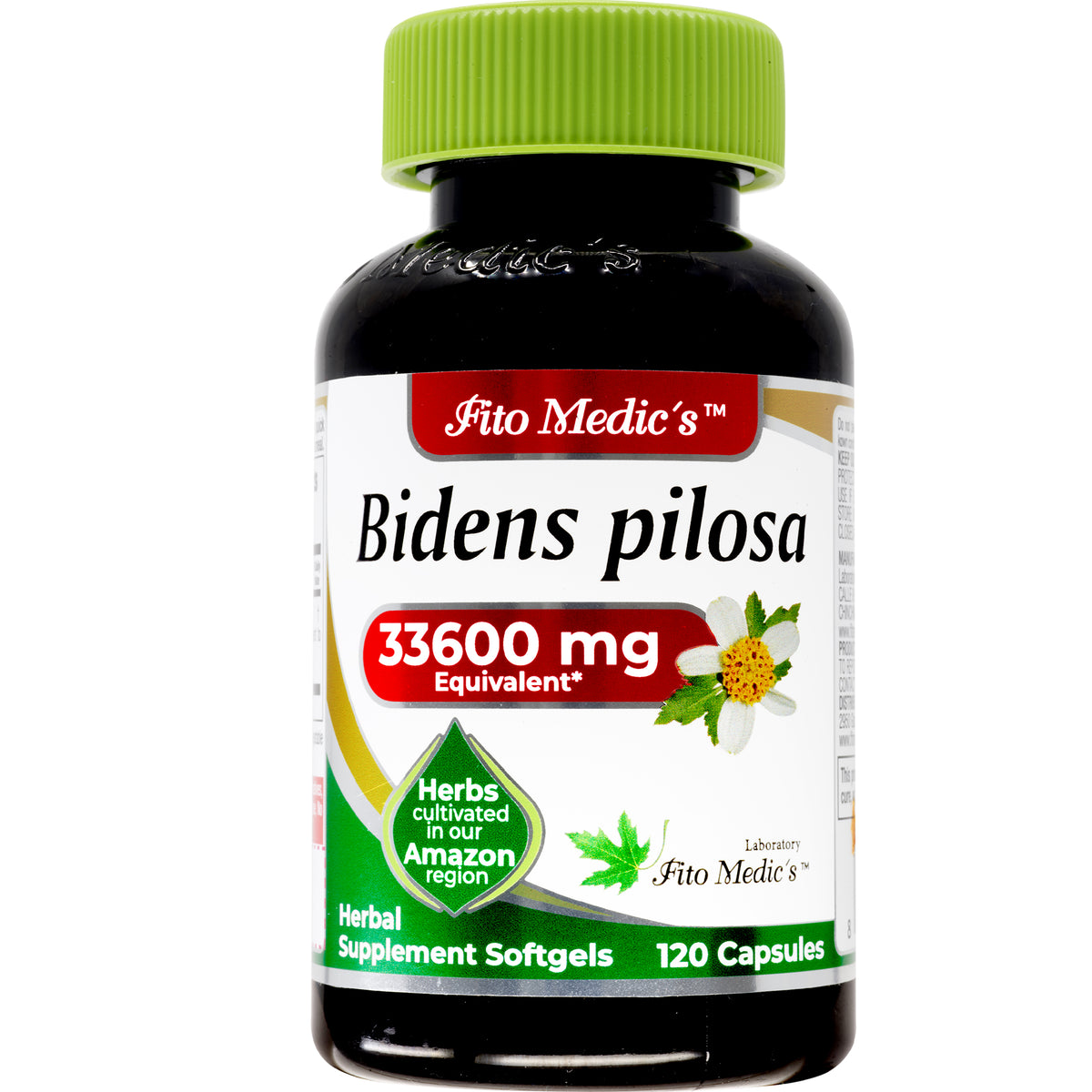 Bidens Pilosa Extract | 75:1 Concentrated Herbal Extract | 120 Softgels | By Fito medic's