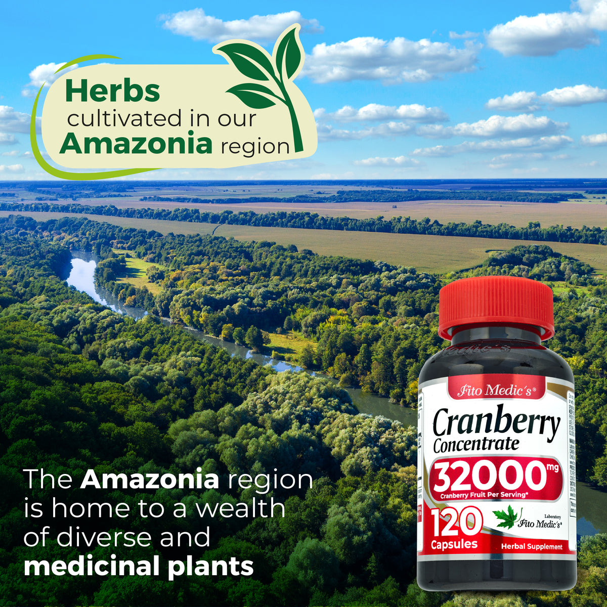 Cranberry Fruit Extract 32,000 mg Equivalent | 80:1 Concentrate | 120 Capsules | By Fito Medic's