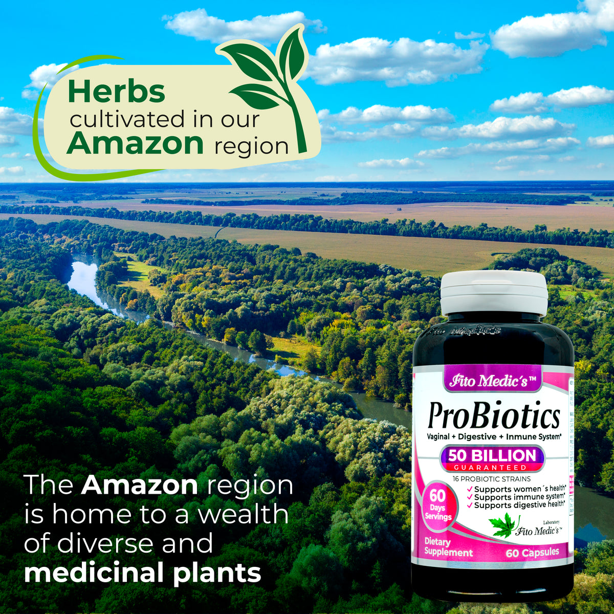Women’s Probiotic 50 Billion CFU | Multi-Strain Probiotic Blend | 60 Capsules | By Fito Medic's